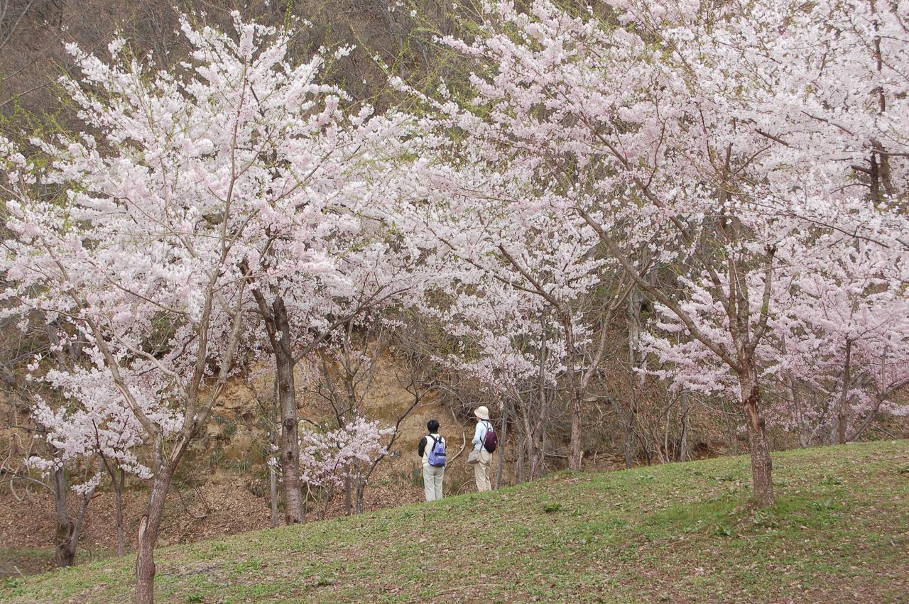 Maruyama Onsen Kojyokan Minamiuonuma Exterior foto